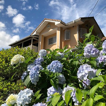 Villa Relax Fujikawaguchiko Zewnętrze zdjęcie